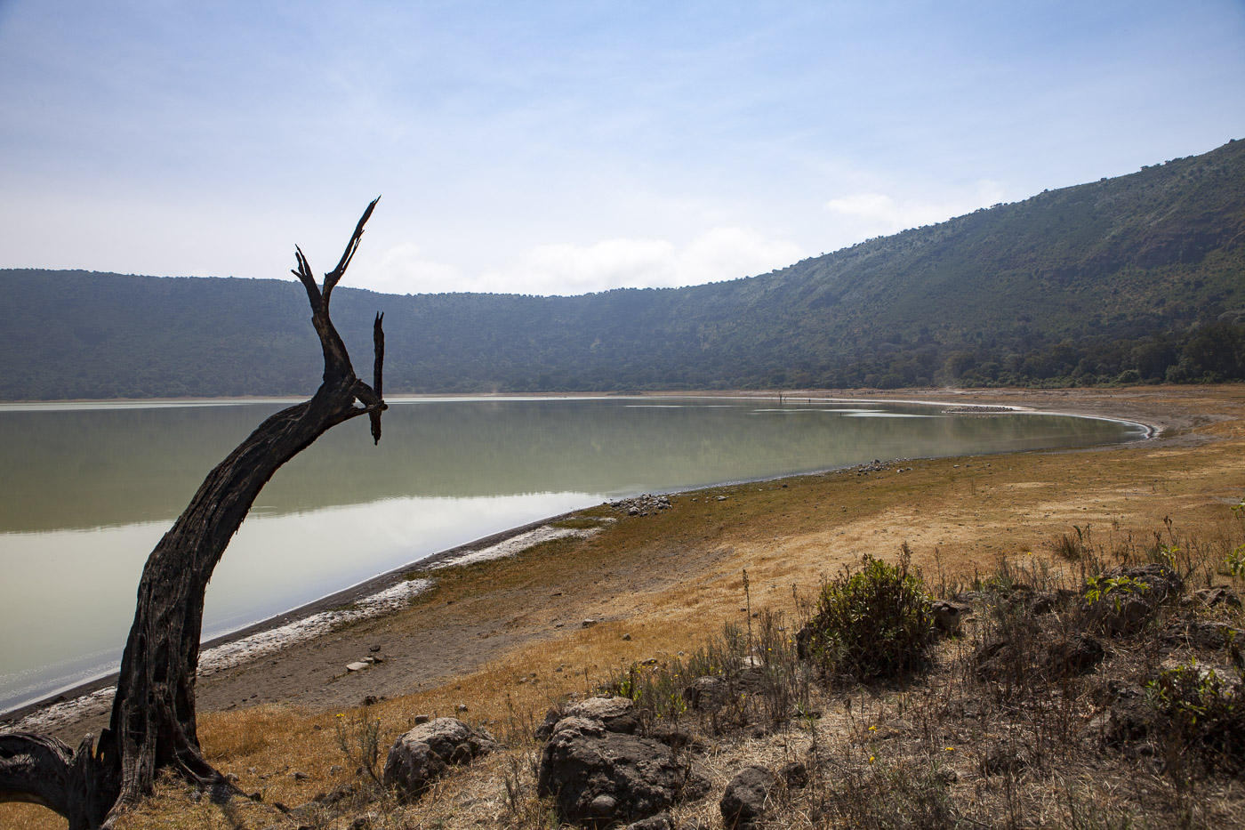 27072015 - Tanzania -  Ngorogoro 5D - _MG_5898