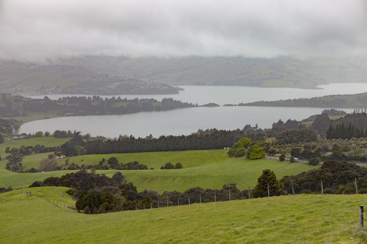 14102016 - Akaroa - _MG_7611