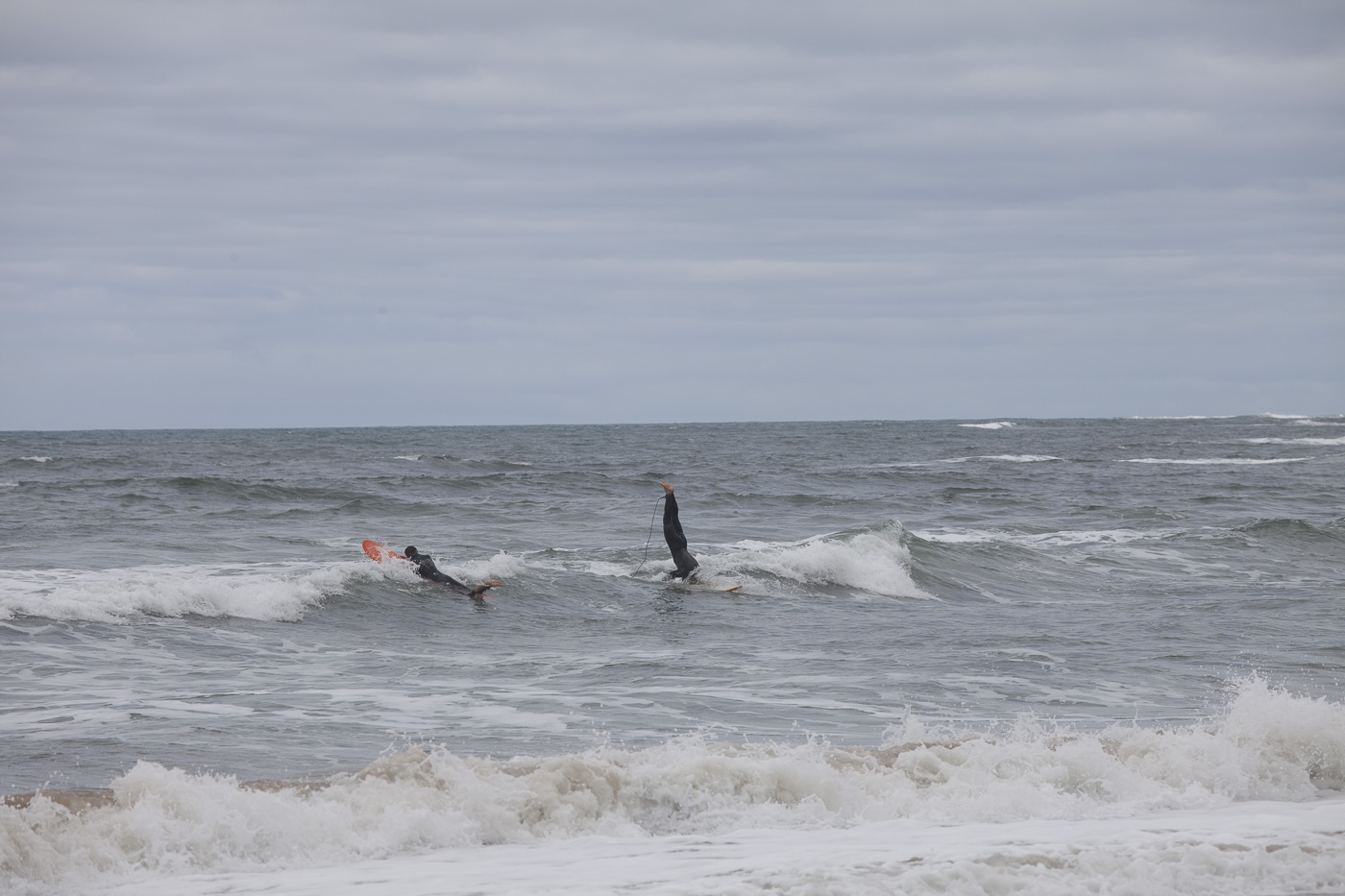 15112016 - Jan Juc Surfing  - _MG_8591